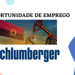 Schlumberger Technical Services inc