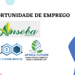 Ecochemico Industrial, África Future e ANSEBA