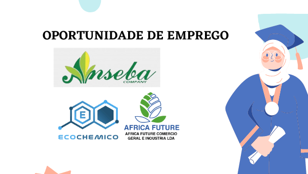 Ecochemico Industrial, África Future e ANSEBA