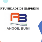 Angoil Bumi JV Limitada (ABJV)