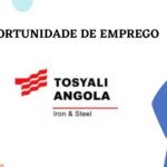 Tosyali Iron & Steel Angola