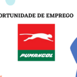 Pumangol Lda