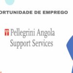 Pellegrini Angola Support Services,S.A